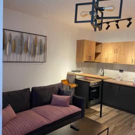 Studio apartman Spot