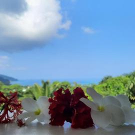 Cella Villa, Hotel in Anse a La Mouche