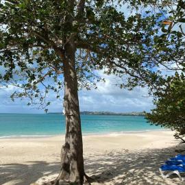 Beach Villa
