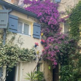 LE ROUGET
