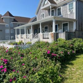 오크 블러프스에 위치한 호텔 Inkwell Beach Cottage