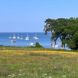 Studland View Cottage, hotel v destinácii Studland