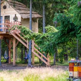 Treehouse U lesa, hotel a Osečná