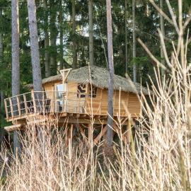 Treehouse U rybníka, hotel a Osečná