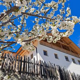 Pignathof Castanea, hotel a Campodazzo