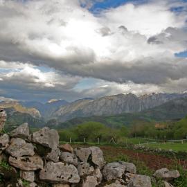 El Patín de Monchu