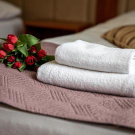 Świdnica में, होटल Hotel pod Wierzba