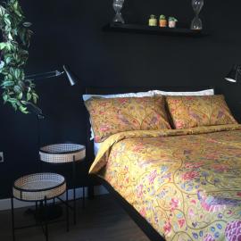 Comfortable rooms with live in host, walking distance to the High St & more, hotel en Glastonbury