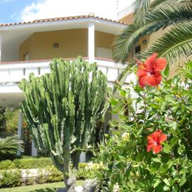 Sea's Chalet, hotel in Fontane Bianche