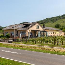 Weingut J. A. Meyer، فندق في فينتريش