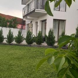 Accent Garden