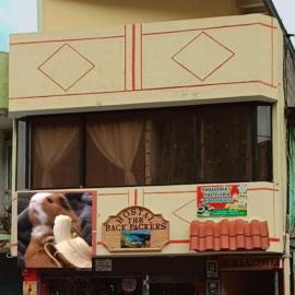 Hostal the backpackers, ξενοδοχείο σε Chugchilán