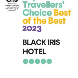 Black Iris Hotel, hotel sa Madaba