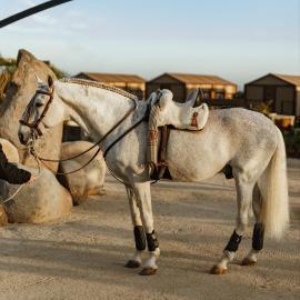 Indomito Resort & Hotel Boutique, ξενοδοχείο σε Valle de Guadalupe
