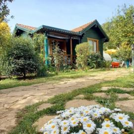 Turkuaz Bungalows