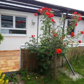 Bungalow Usedom, hotell sihtkohas Ostseebad Koserow