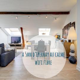 « Le Bidule », logement au cœur de la Champagne, hotel a Chouilly