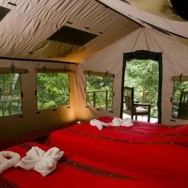 Rio Tico Safari Lodge