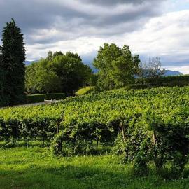 Agriturismo l'Eremo
