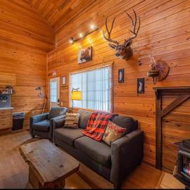 Viesnīca Cabin #1 Buffalo Herd -Pet Friendly - Sleeps 6 - Playground & Game Room pilsētā Peisona