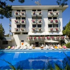 Hotel Metropol