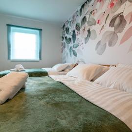 MIZU APARTMA VAS LIPA OLIMJE, hotel in Podčetrtek