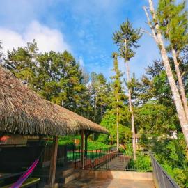 La Semilla Ecolodge, hotel v destinaci Cerro Azul