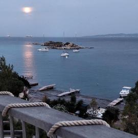 ΘΕΑΛΟΣ ΒΡΑΧΟΣ