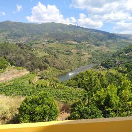 Casa Avós D'Ouro - Barqueiros, Mesão Frio, Douro, hotel in Mesão Frio