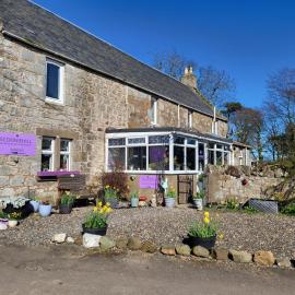 Scooniehill Farm House B&B, hotel in St. Andrews