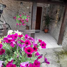 Casa vacanze Alloro