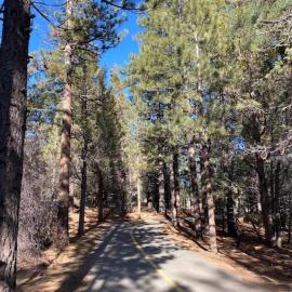 Summit Condo - Luxury condo, walk to the slopes!, hotel in Big Bear Lake