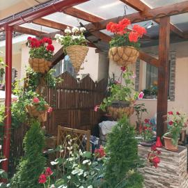 Casa Puiu, hotel a Slănic-Moldova