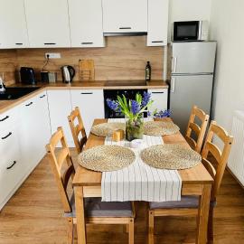 Rodinný apartmán v Karlovicích โรงแรมในKarlovice