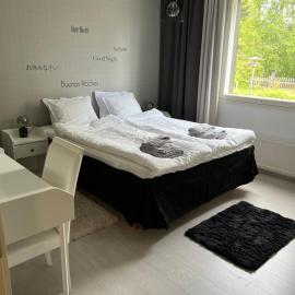 Wiitakoto, hotel din Viitasaari