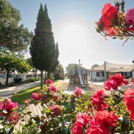 Porto Potenza Picena में, होटल Natural Village Resort