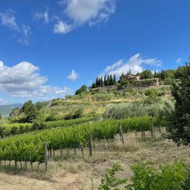 Agriturismo Podere Querceto, hotell sihtkohas Rufina