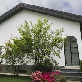 Il giardino di Fiorina, hotel in Novate Milanese