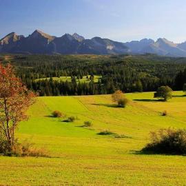 Pokoje Gościnne Panorama