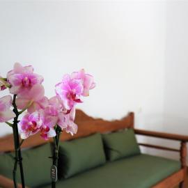 ΤΟ ΚΑΜΙΝΙ ΤΟΥ ΜΗΛΑ, hotel u gradu Kitnos