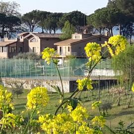 LA CASA NELLA PRATERIA, hotel in Misano Adriatico