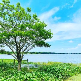 Lake View Cottage, hotel a Tissamaharama