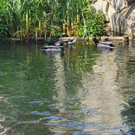 Les berges du moulin, hotel em Ensisheim
