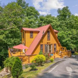 Smokey Max Chalet, Hotel in Sevierville