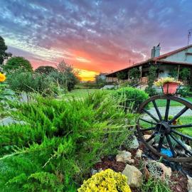 Ivonnis Garden 120m from Dikella Beach Denize & BBQ