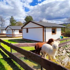 Agroturystyka Zagroda Alpaka, hotel in Chmielno