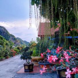 Ninh Binh Green Farmstay