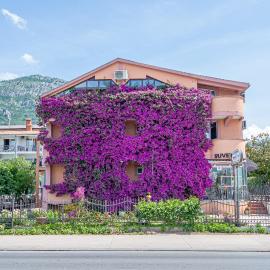 Apartment Marcic