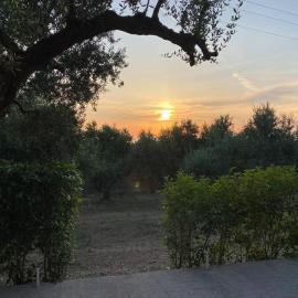 Rustic- Chic Villa in a Private Olive Grove - Filiatra, hotel a Filiatrá