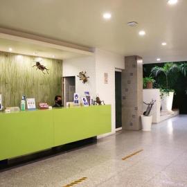 Aranzazu Eco